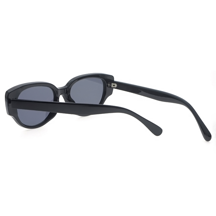 Dachuan Optical DSP127081 China Supplier Good Quality Plastic Sunglasses With Custom Logo (9)