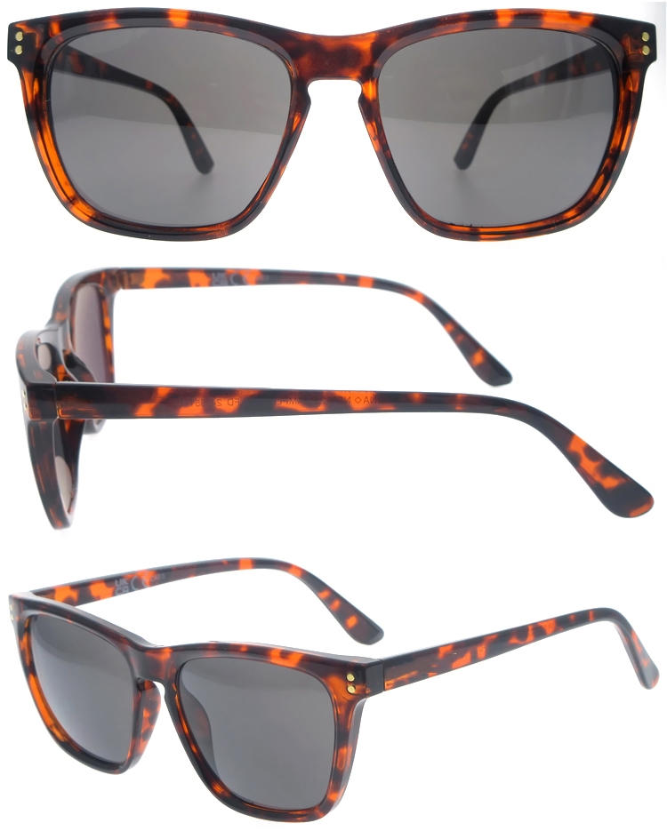 Dachuan Optical DSP251153 China Supplier Retro Style Plastic Sunglasses With Pattern Frame (1)