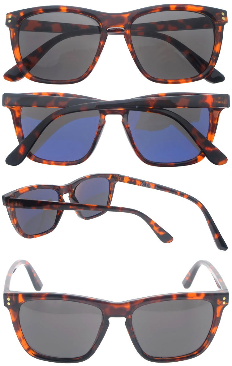 Dachuan Optical DSP251153 China Supplier Retro Style Plastic Sunglasses With Pattern Frame (3)