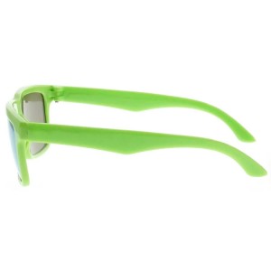 Plastic Sunglasses