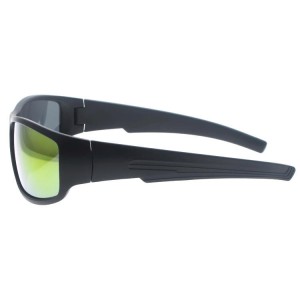 Plastic Sunglasses