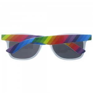 Plastic Sunglasses