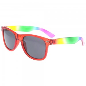 Plastic Sunglasses