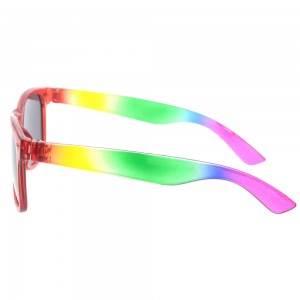 Plastic Sunglasses