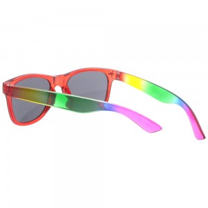 Plastic Sunglasses