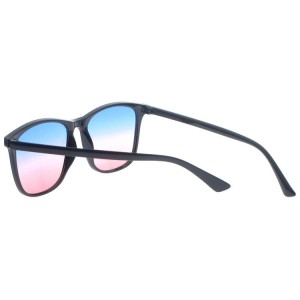 Plastic Sunglasses