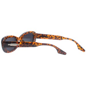 Plastic Sunglasses