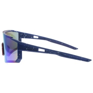 Plastic Sunglasses