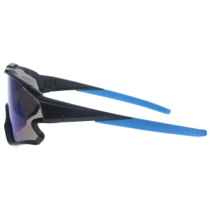 Plastic Sunglasses