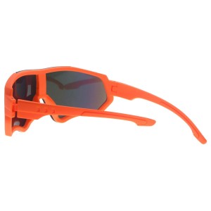 Plastic Sunglasses