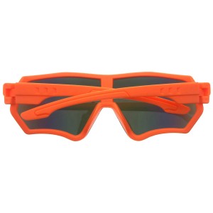 Plastic Sunglasses