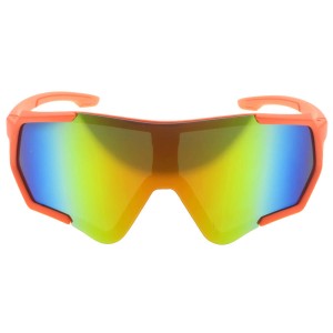 Plastic Sunglasses