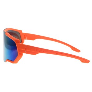 Plastic Sunglasses