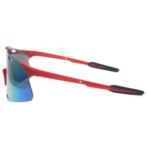 Plastic Sunglasses