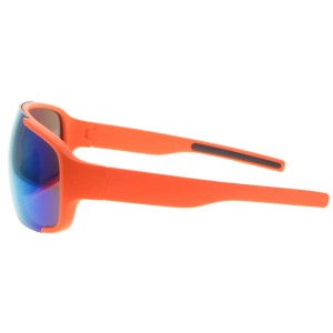 Plastic Sunglasses