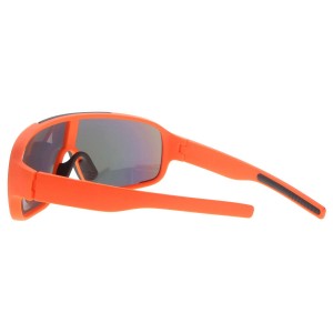 Plastic Sunglasses