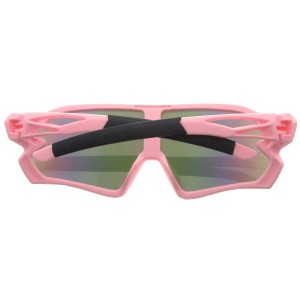 Plastic Sunglasses