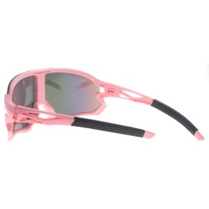 Plastic Sunglasses