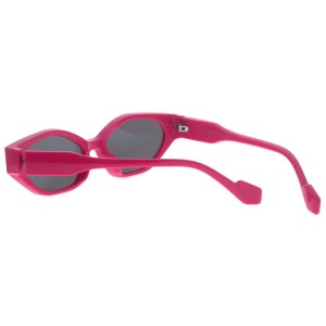 Plastic Sunglasses