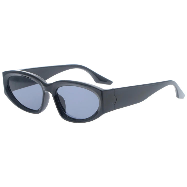 Dachuan Optical DSP404024 China Supplier Classic Design Plastic Sunglasses With Metal Hinge (8)