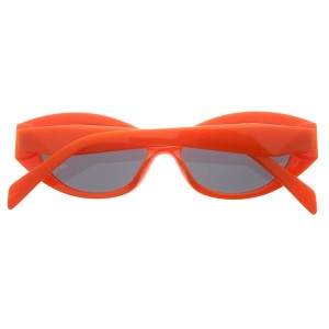 Plastic Sunglasses