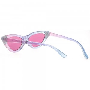 Plastic Sunglasses