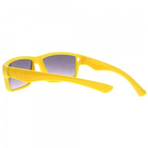 Plastic Sunglasses