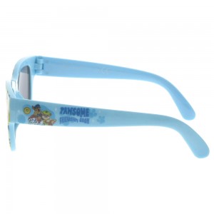 Plastic Sunglasses