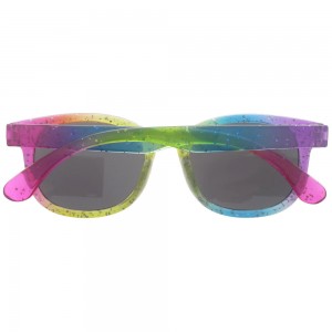 Plastic Sunglasses