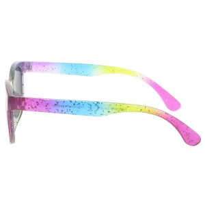 Plastic Sunglasses