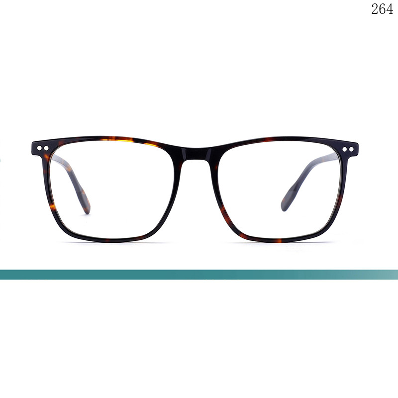 Dachuan Optical F3004 China Supplier Casual Design Acetate Eyeglass Frames with Spring Hinges (1)