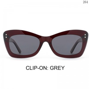 Clip On Eyeglasses