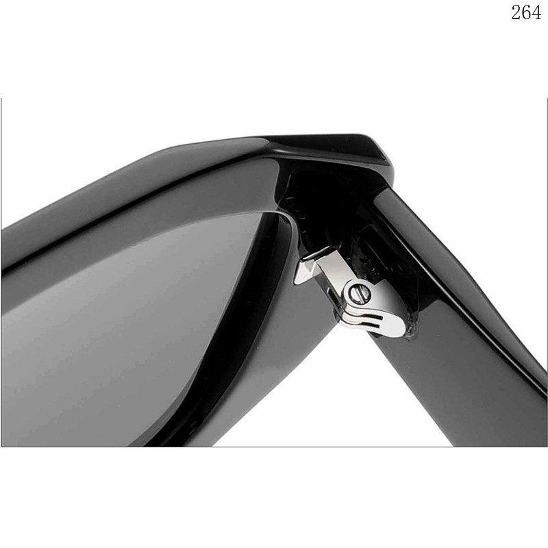 Dachuan Optical HS2818 China Supplier Fashion Trendy Acetate Sunglasses Gafas De Sol with Metal Hinges (4)